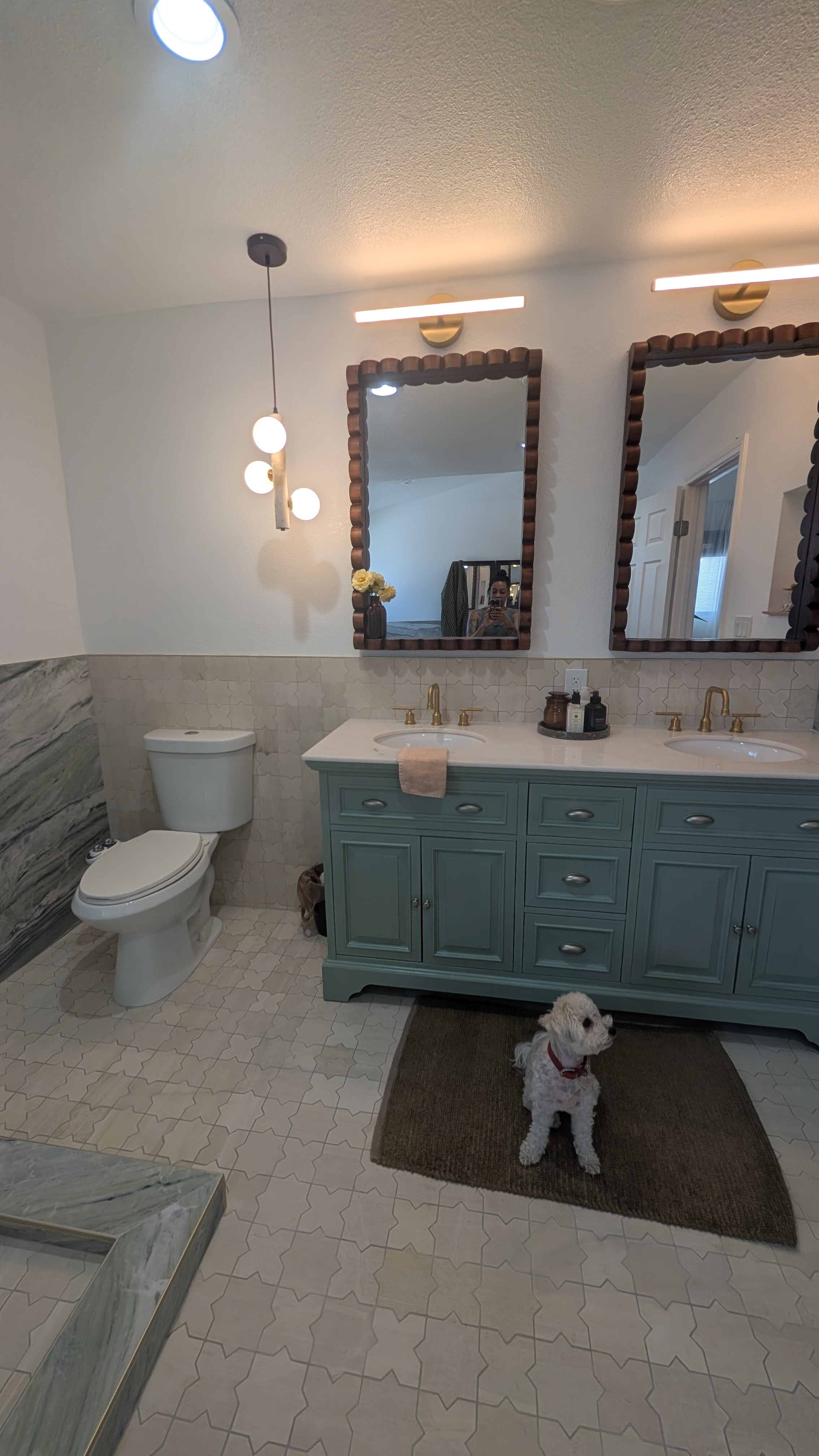 light fixture selections and a cutie dog